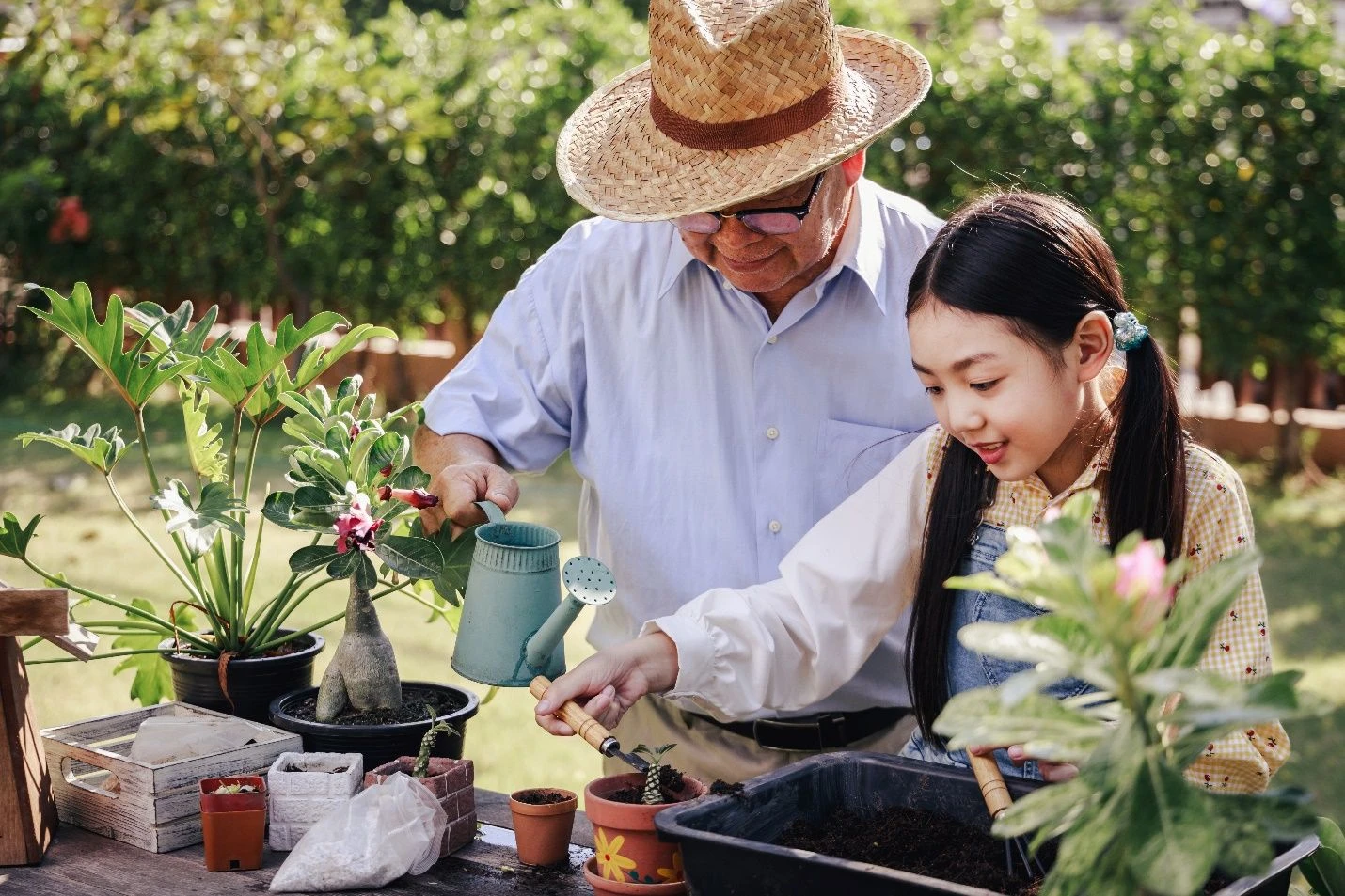 Cẩm Nang Chăm Sóc Bệnh Nhân Đột Quỵ Sau Khi Ra Viện