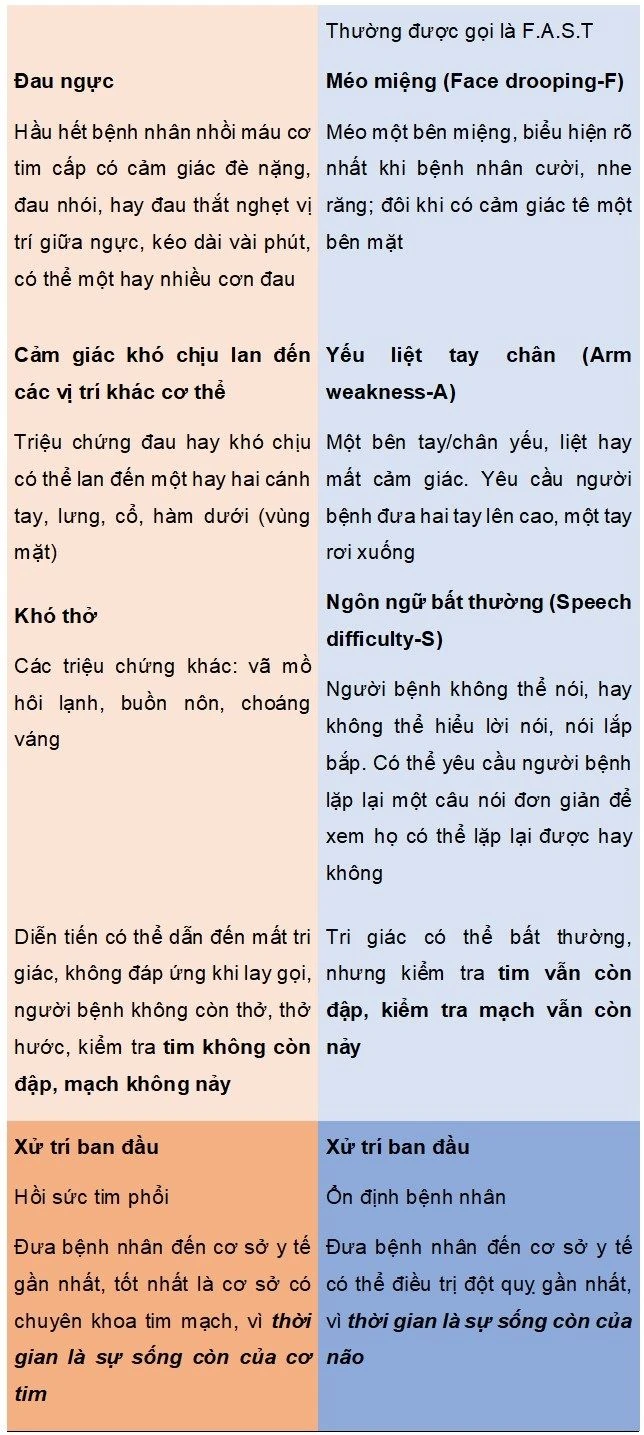 Đột Quỵ Khác Đột Tử Do Tim Như Thế Nào?